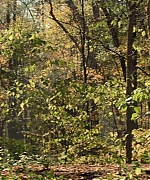 EBBR029.jpg