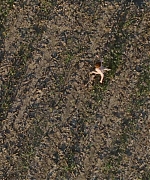 Filename=EBBR531.jpg
Filesize=516KiB
Dimensions=1920x816
Date added=Jun 15, 2023 EBBR531.jpg