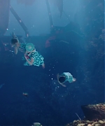 EBBR133.jpg