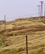 EBBR0014.jpg
