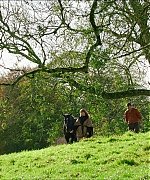 EBBR066.jpg