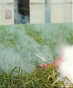 EBBR0017.jpg